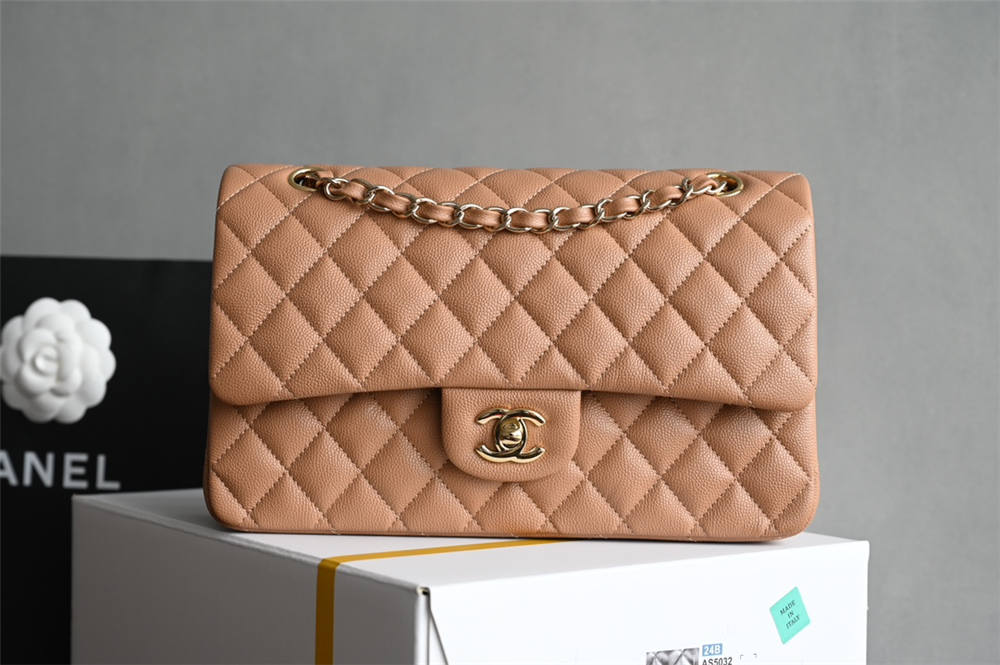 Chanel Classic Flap 25cm 2025 new 